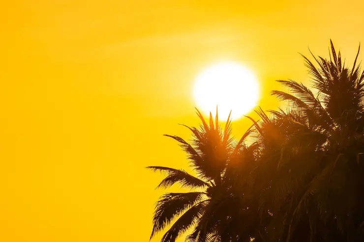Paisaje de un sol brillando fuerte