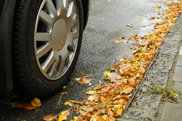 Rueda de coche en la carretera sobre hojas de otoño