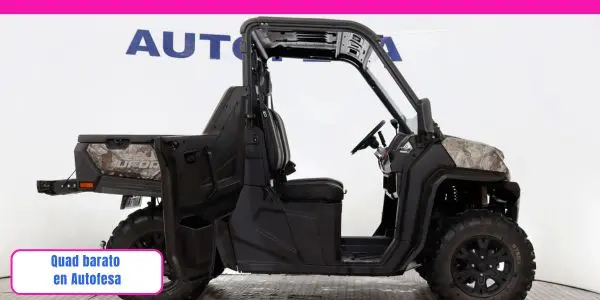 Quad barato en buen estado de Autofesa